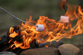 Marina docks and camping